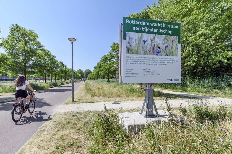 Rotterdams bijenlandschap