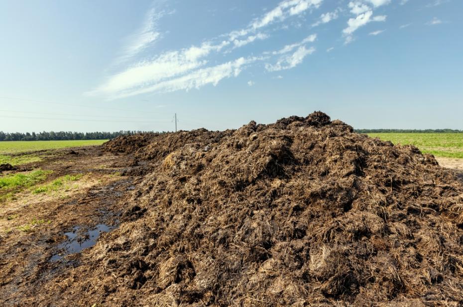 Mest in veld
