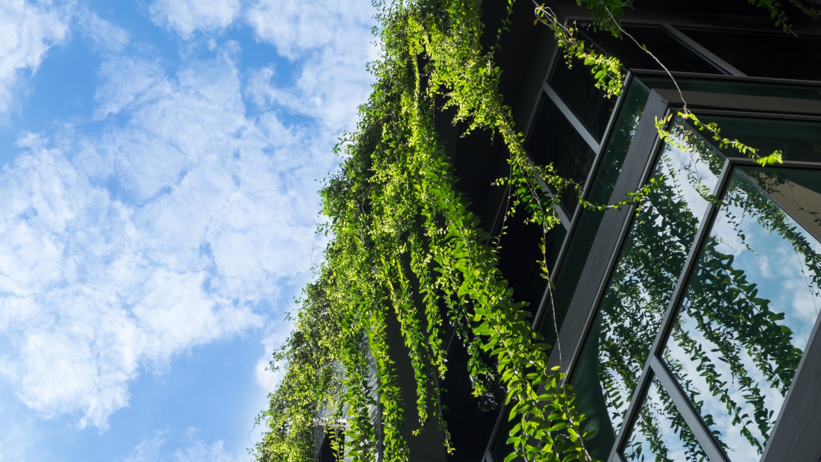 Een gevel met veel glas met groen dat vanaf het dak naar beneden groeit over het moderne gebouw heen. De lucht is blauw.