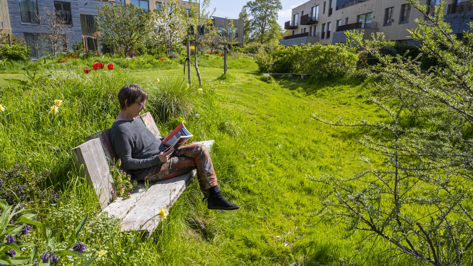 Een persoon zit op een bankje in het groen en leest een boek, eromheen zijn gebouwen te zien, ze zit in een binnentuin