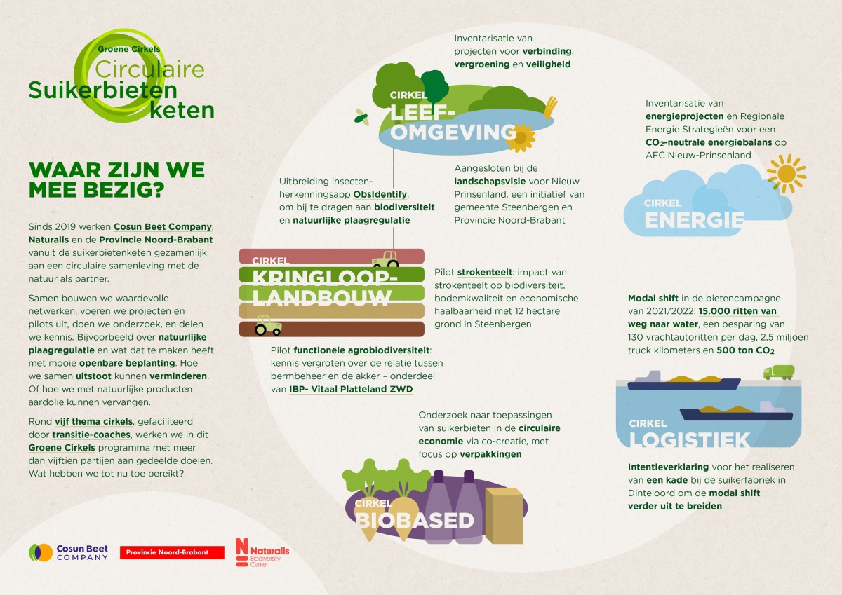 Een poster van de Groene Cirkels Circulaire Suikerbietenketen waarop wordt uitgelegd wat partners Cosun Beet Company, Naturalis Bioiversity Center en de provincie Noord-Brabant doen op het gebied van kringlooplandbouw, leefomgeving, energie, biobased verpakkingen en logistiek.