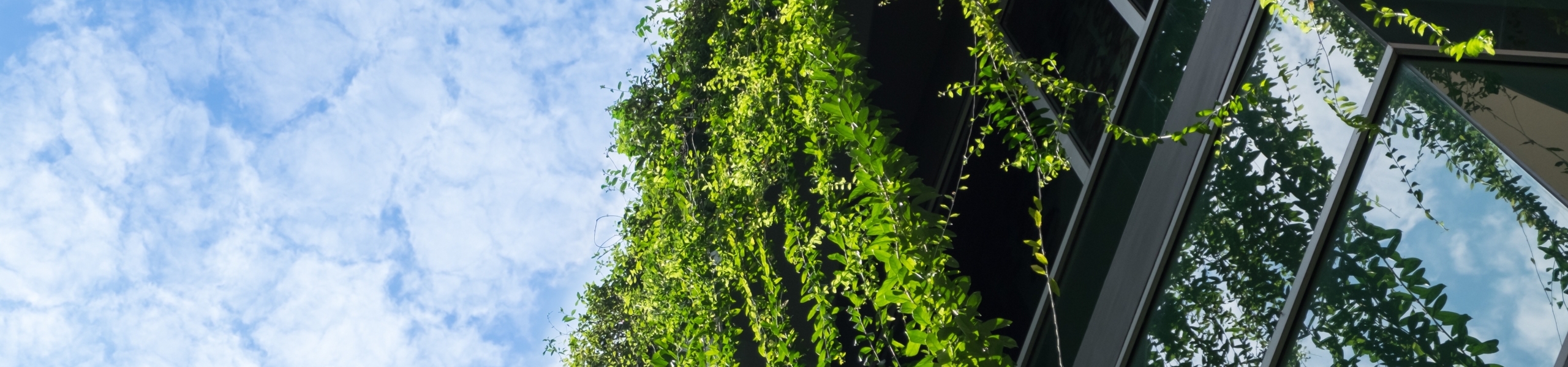 Gebouw met groene gevel tegen blauwe lucht met wolken