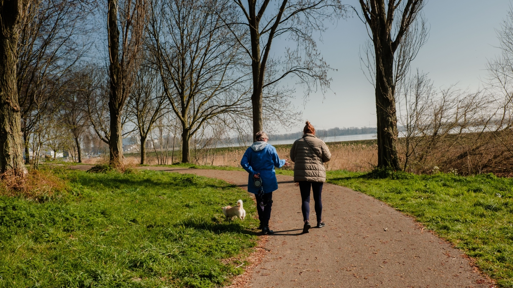 Wandelaars op een paadje omringd door groen en bomen