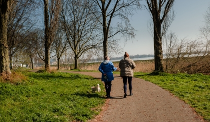 Wandelaars op een paadje omringd door groen en bomen