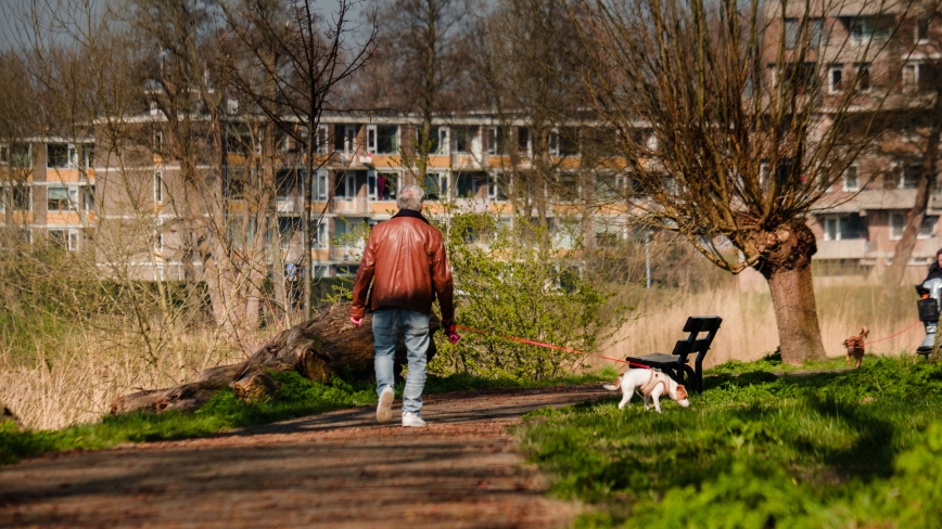 Man wandelt met hond in het groen in woonwijk