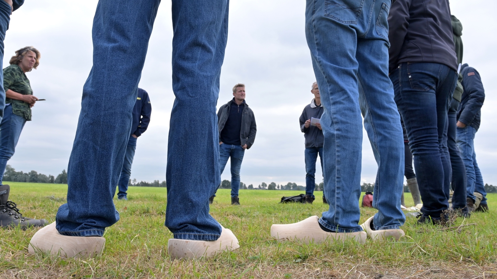 Boeren op klompen staat in een cirkel in een weiland