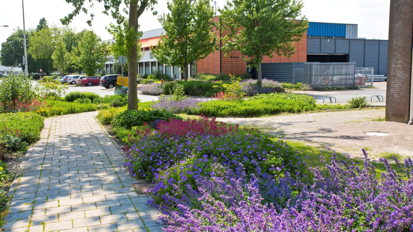 Bedrijventerrein met bloeiende paarse planten op de voorgrond