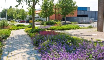 Bedrijventerrein met bloeiende paarse planten op de voorgrond