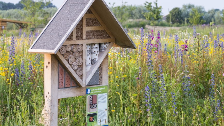 Bijenhotel met schuin dak staat in landschap met veldbloemen