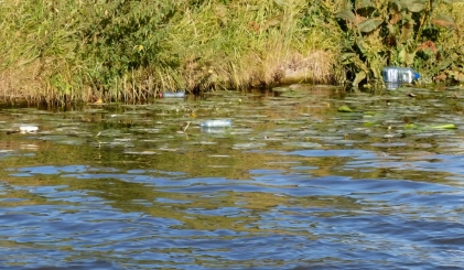 Rivier met plastic flessen erin