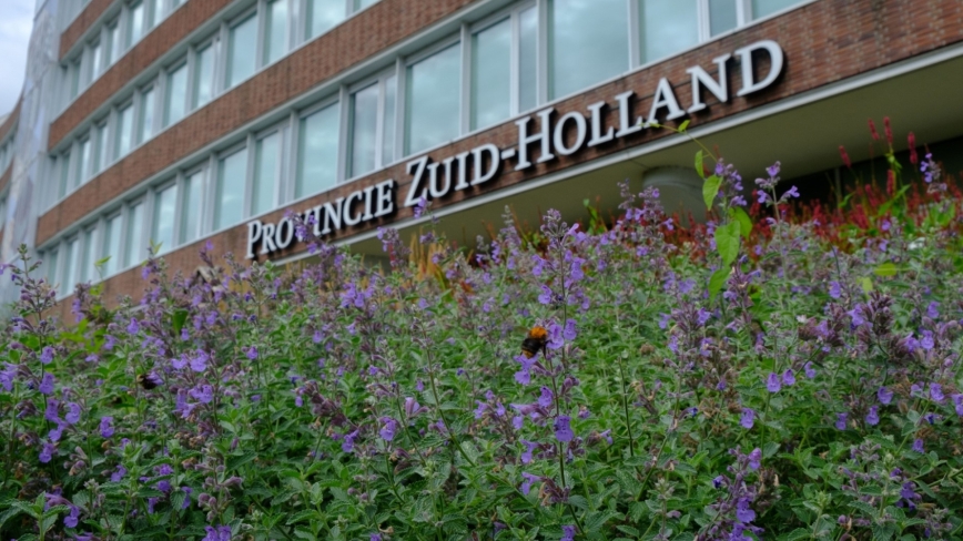 Bij op beplanting voor het provinciehuis van Zuid-Holland