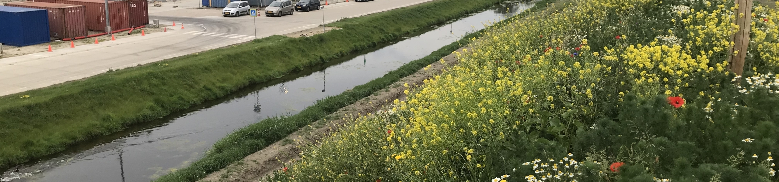 Ecodijk bij het Farm Frites terrein, op de dijk groeien kleurrijke bloemen en op de achtergrond is de fabriek te zien