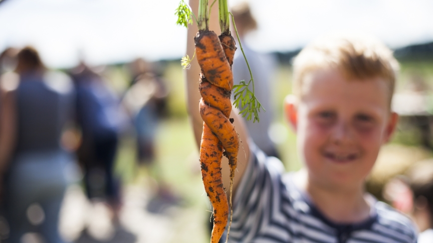Jongen houdt gedraaide wortels in de lucht