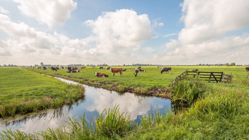 Langerak, Alblasserwaard
