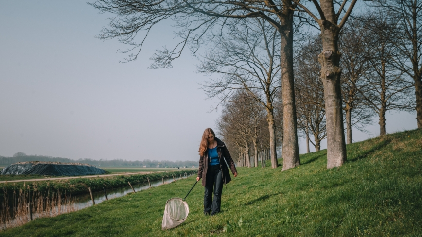 Linde Slikboer loopt met een schepnetje om bijzondere bijen te vangen en te detemineren