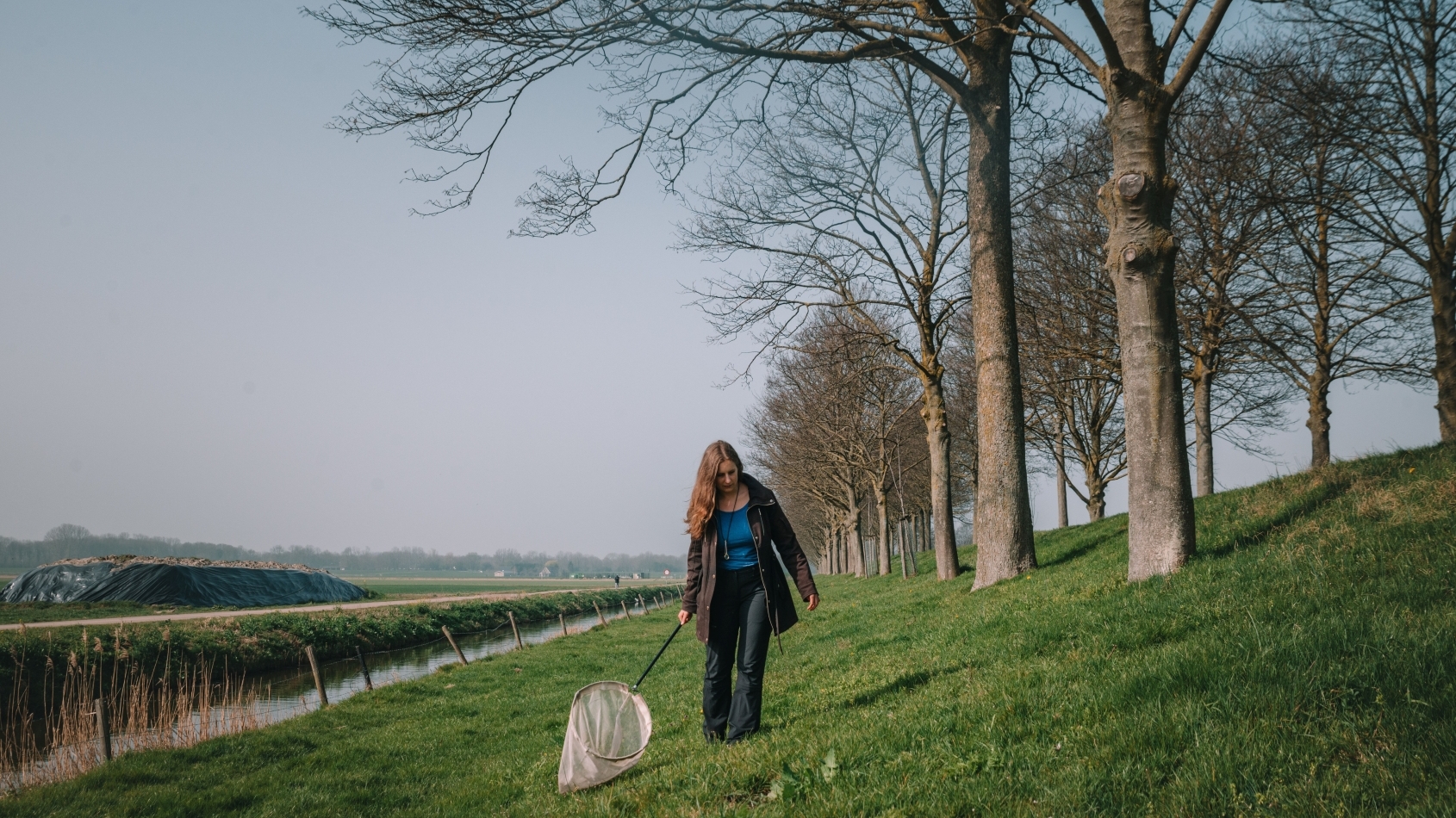Linde Slikboer loopt met een schepnetje om bijzondere bijen te vangen en te detemineren