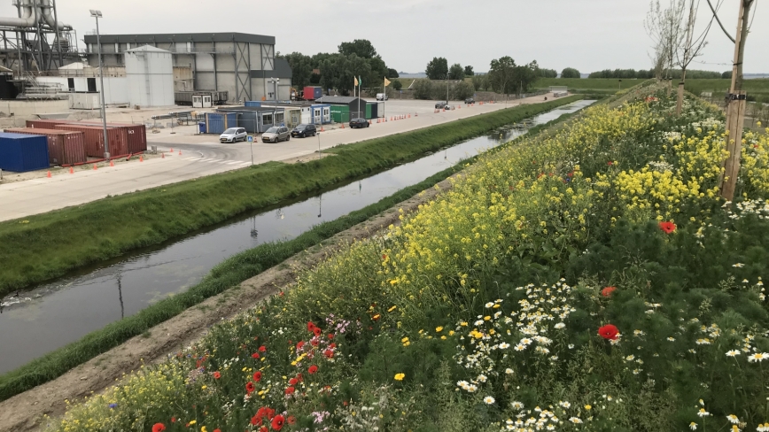Farm Frites bedrijventerrein met de groene natuurwal ernaast