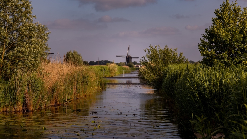 Molen in de Alblasserwaard met een sloot