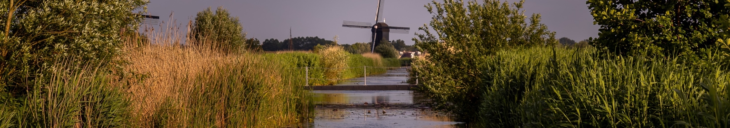 Molen in de Alblasserwaard met een sloot