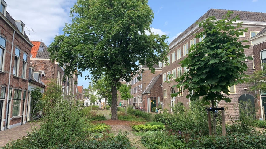 Vergroend Bagijnhof met struiken en planten