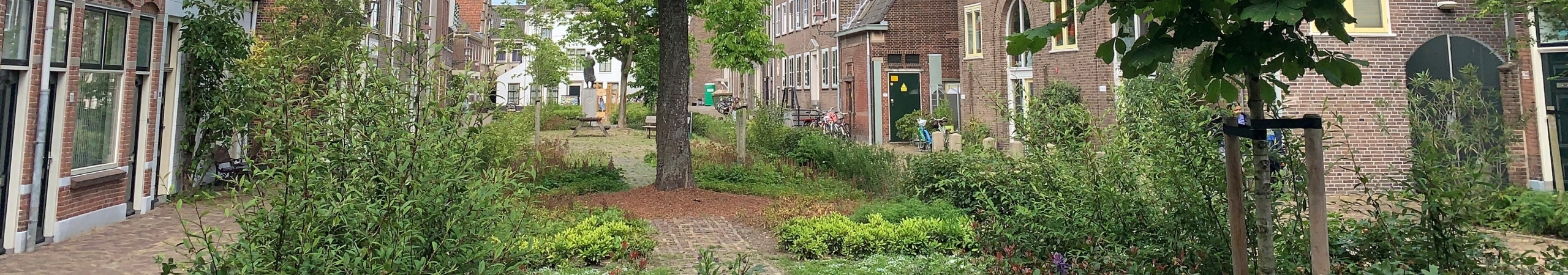 Vergroend Bagijnhof met struiken en planten