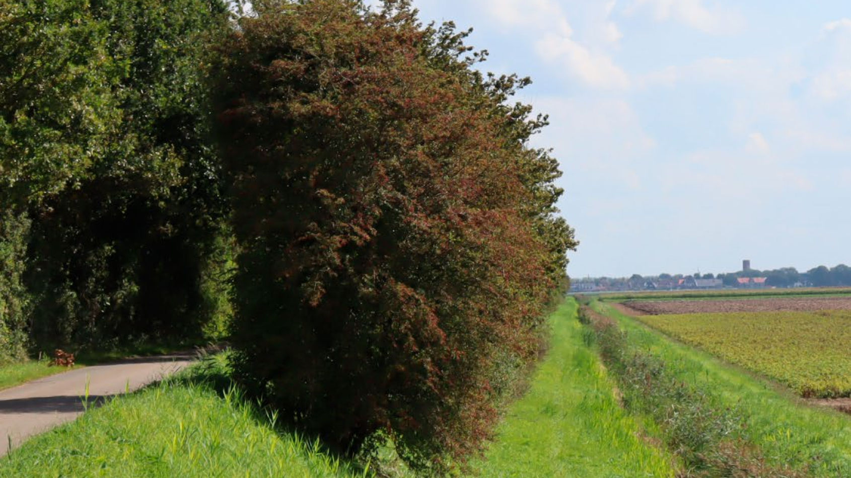 Groenblauwe dooradering: Integratie van natuur en water in landschap.
